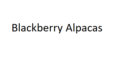 Blackberry Alpacas